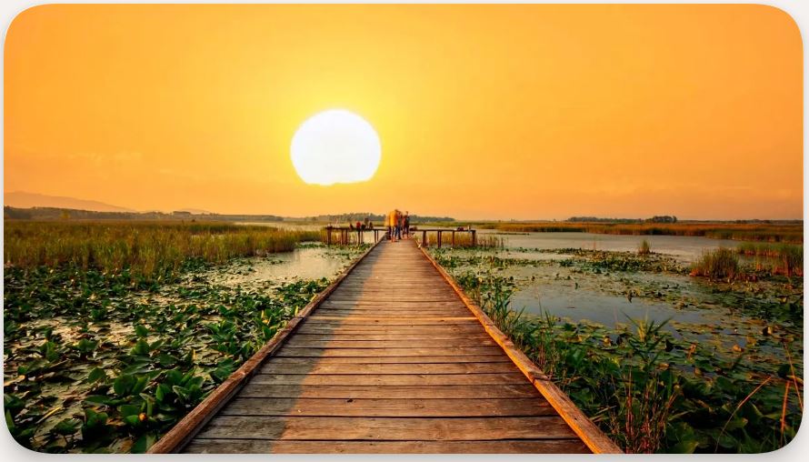 Düzce Kompozit Rögar Kapakları ve Altyapı Çözümleri | Türkiye Kompozit