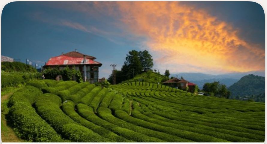 Rize Kompozit Rögar Kapakları ve Altyapı Çözümleri | Türkiye Kompozit